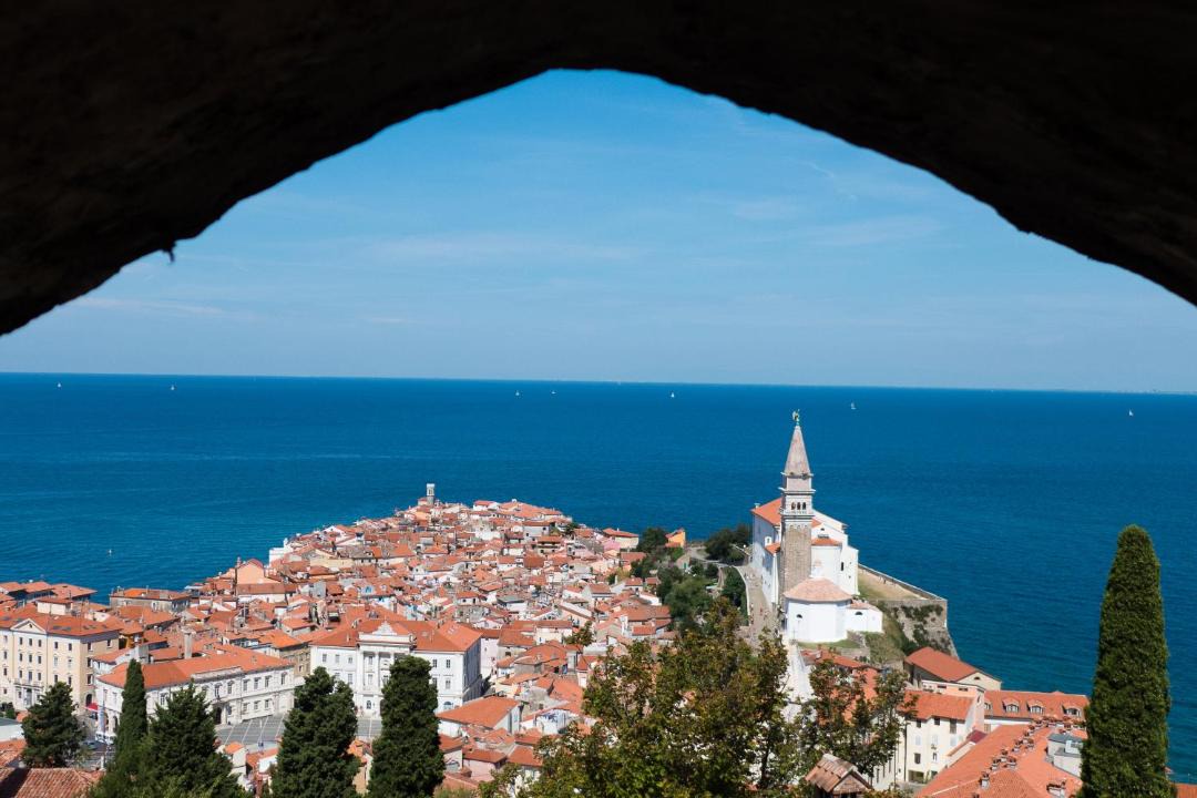 Photo of Others in Koper