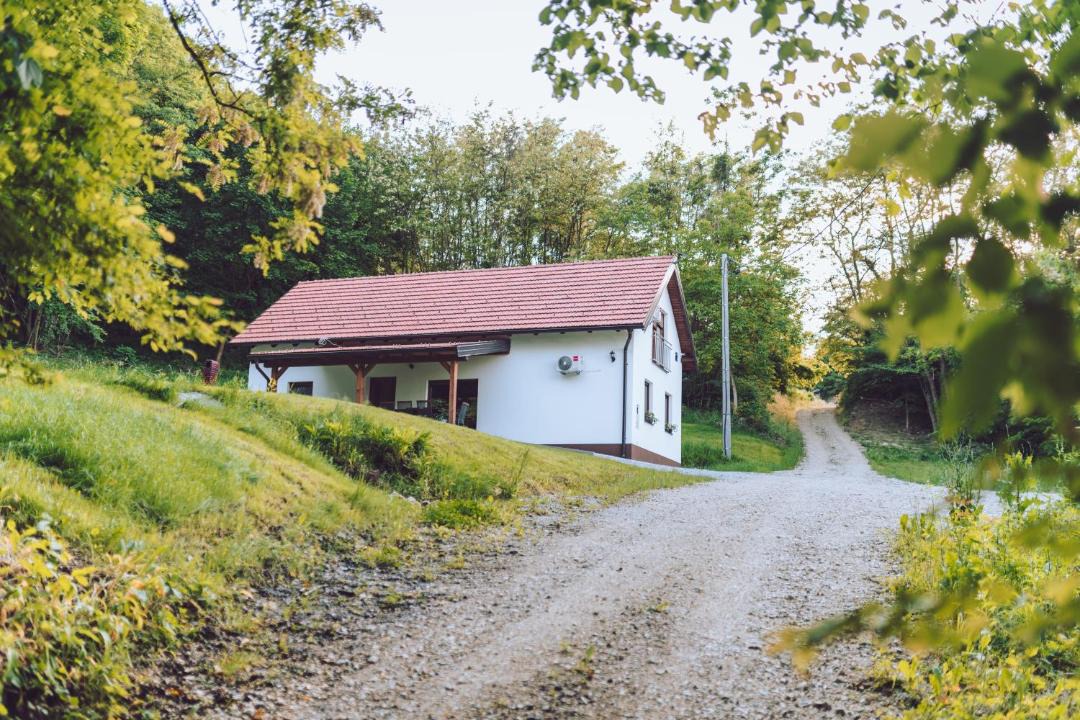 Photo of Others in Novi Marof