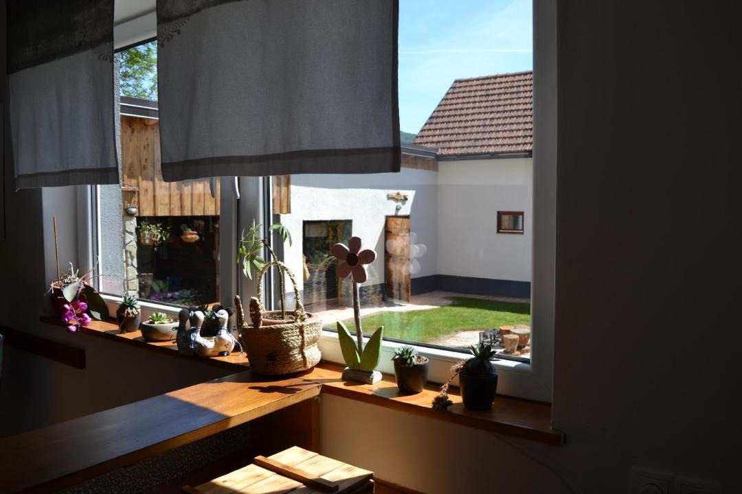 Photo of Others in Municipality of Plaski