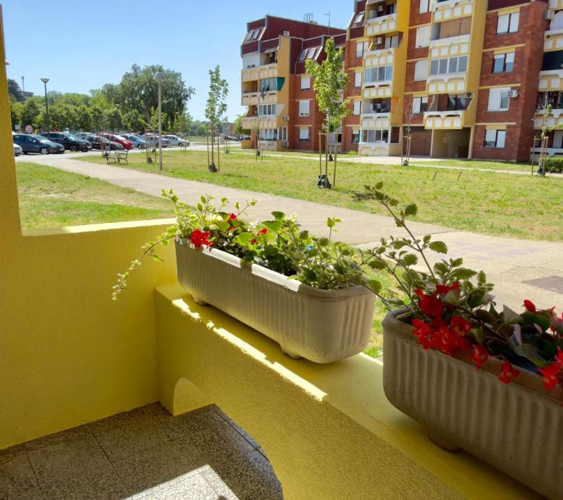 Photo of Others in Vukovar