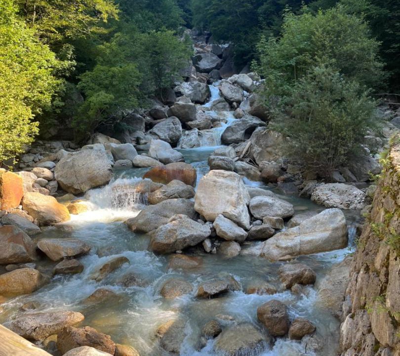 Photo of Others in Trzic