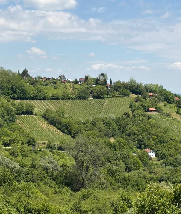 Photo of Others in Breznik Plesivicki