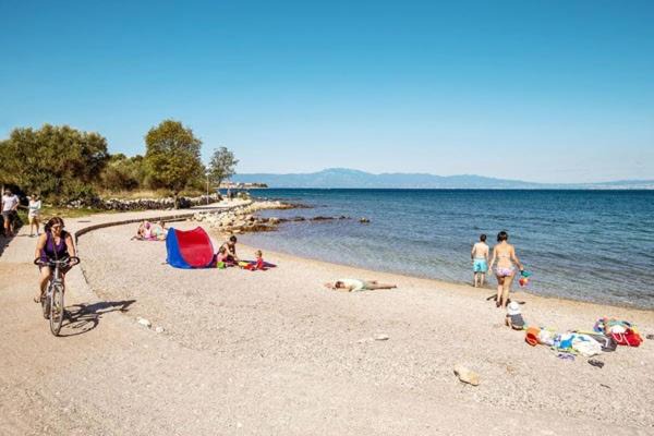 Photo of Others in Milcetici