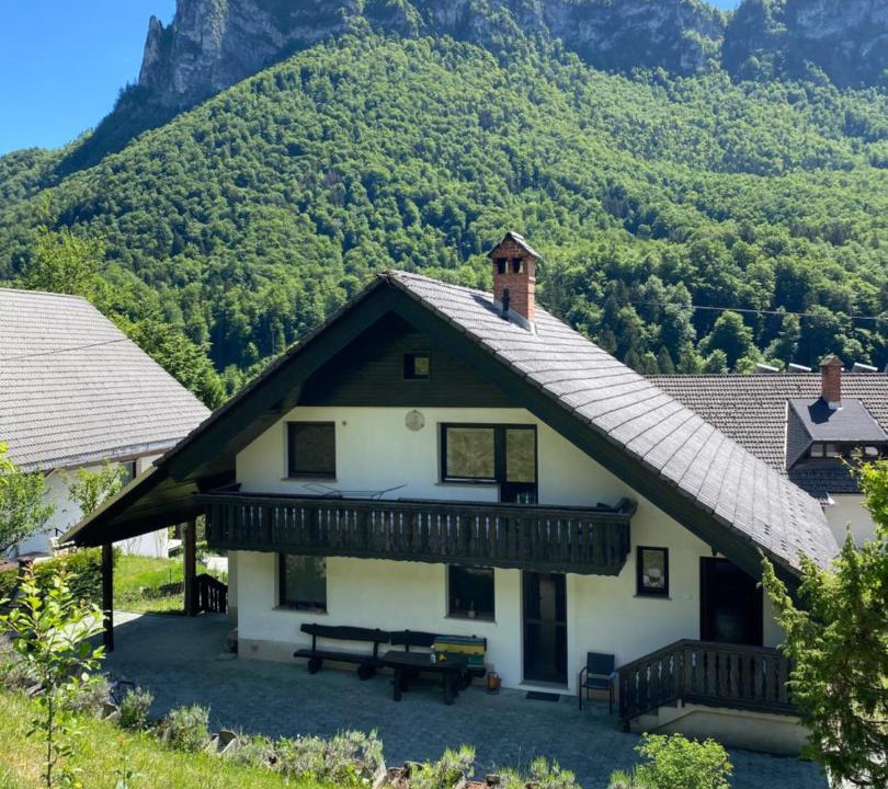 Photo of Others in Bohinjska Bela