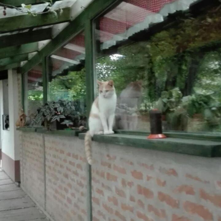 Photo of Others in Bilje