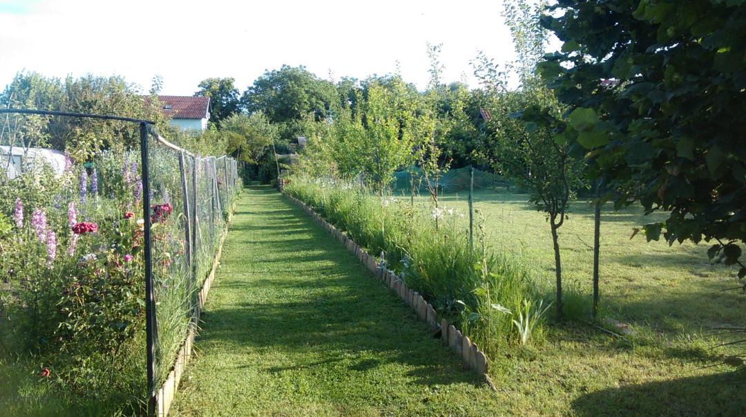 Photo of Others in Bilje