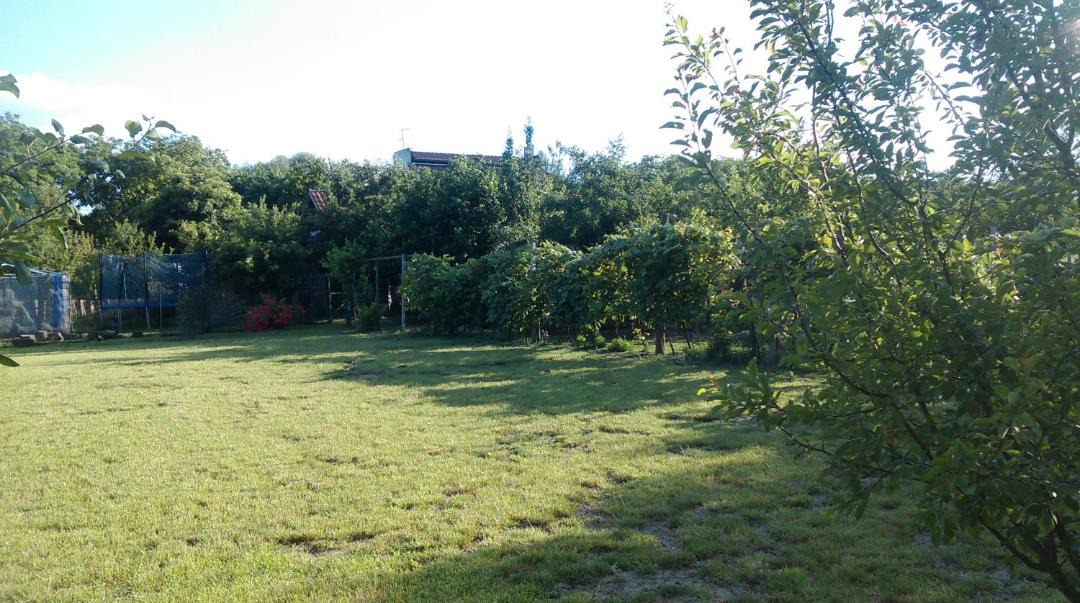 Photo of Others in Bilje