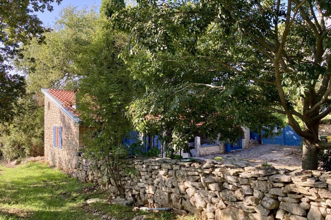 Photo of Others in Stifanici