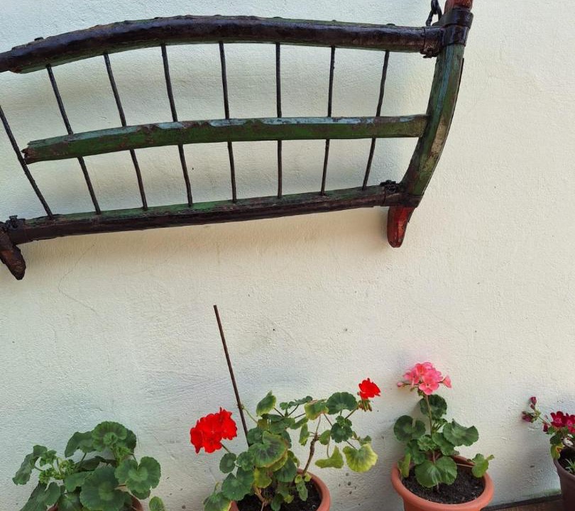 Photo of Others in Inland Croatia