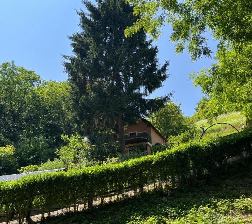 Photo of Others in Koprivnica