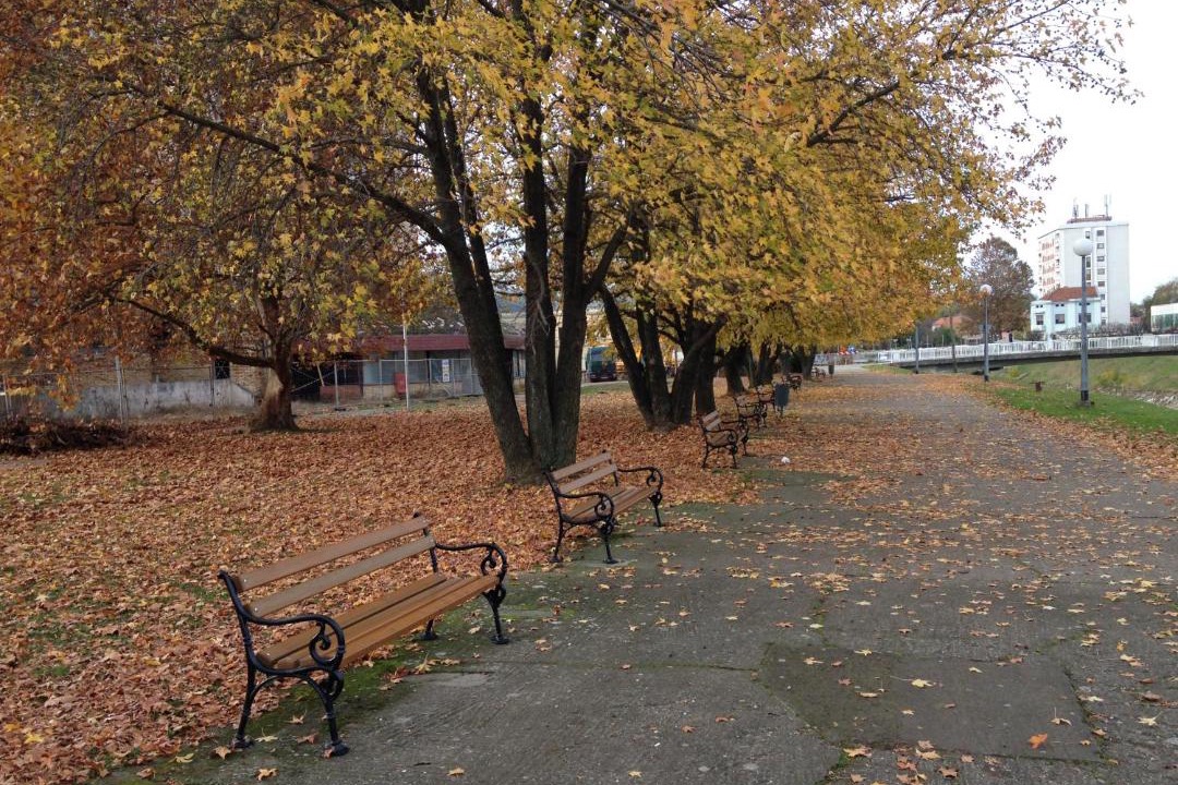 Photo of Others in Vukovar