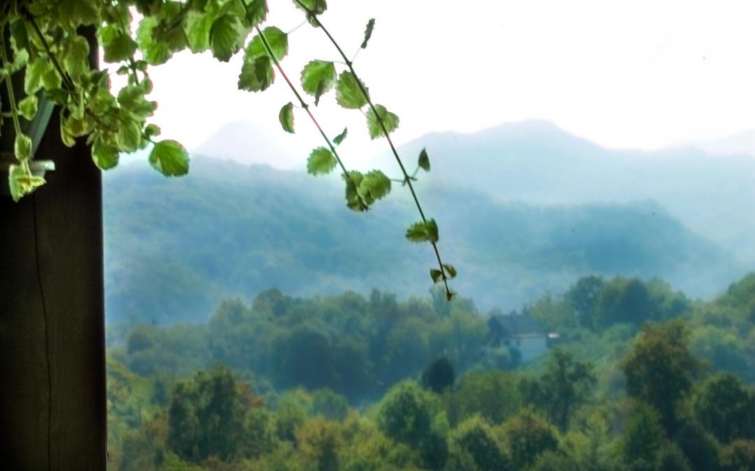Photo of Others in Samobor
