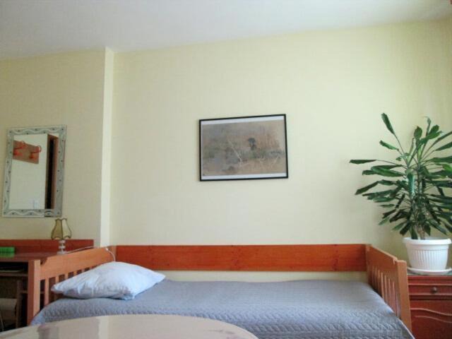 Photo of Bedroom in Borovo