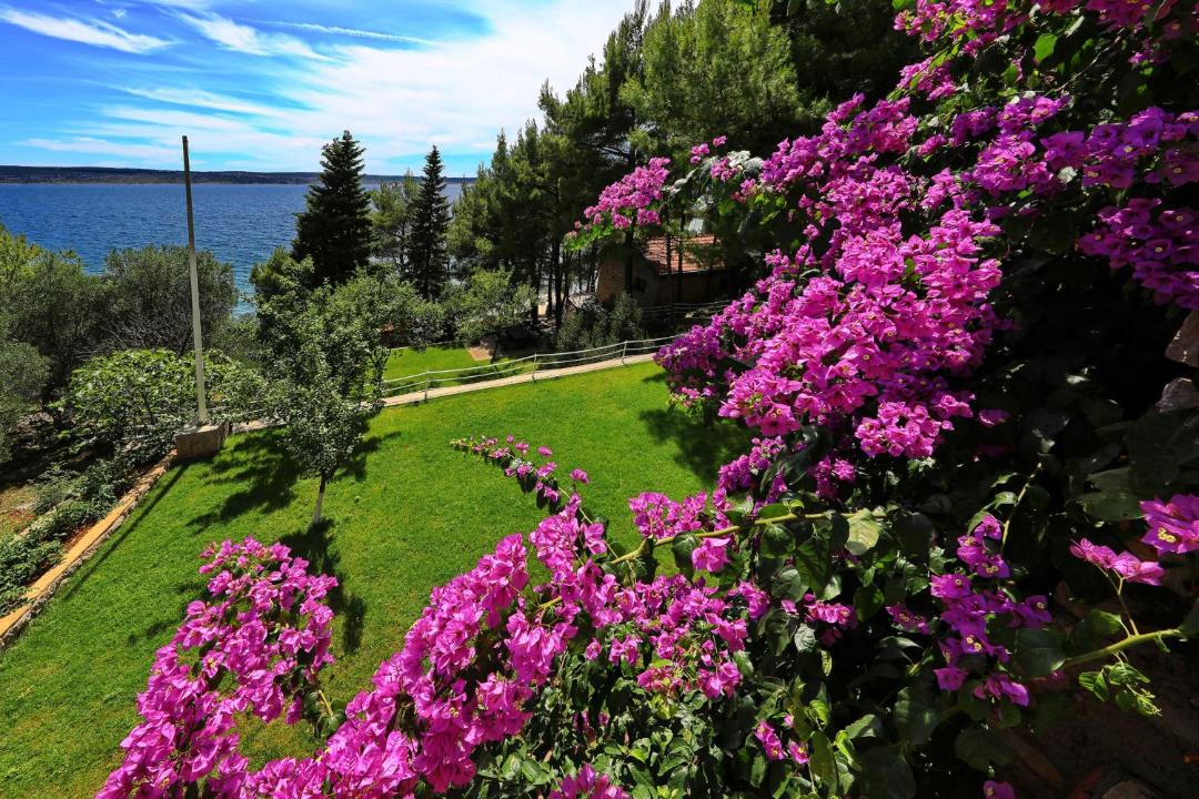Photo of Others in Starigrad