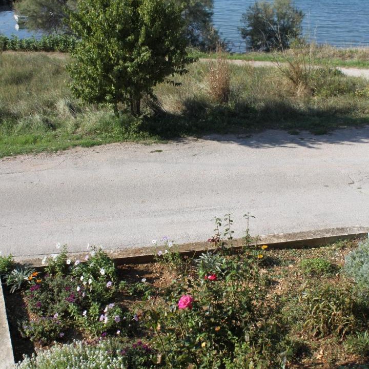 Photo of Others in Nevidane