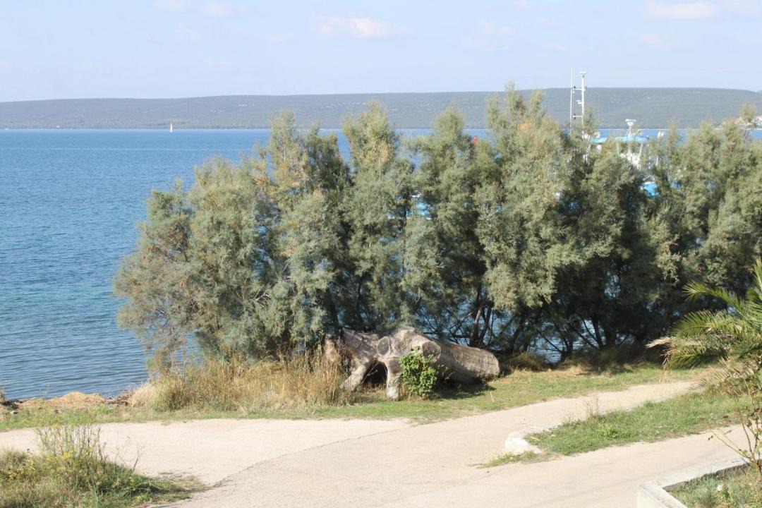 Photo of Others in Nevidane