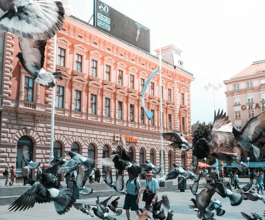Photo of Others in Velika Gorica