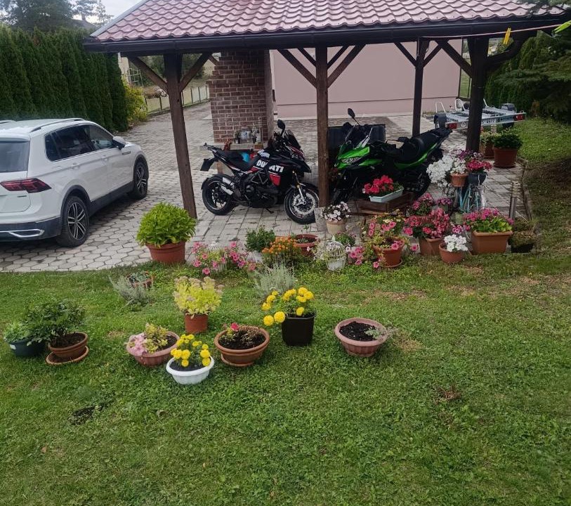 Photo of Others in Livno