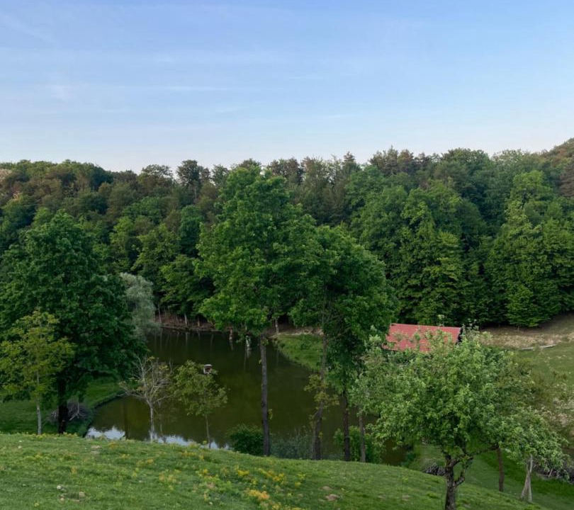 Photo of Others in Gorisnica
