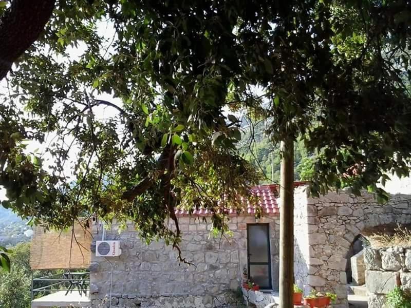 Photo of Others in Mljet