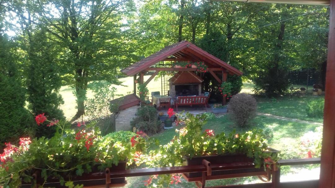 Photo of Others in Petrinja