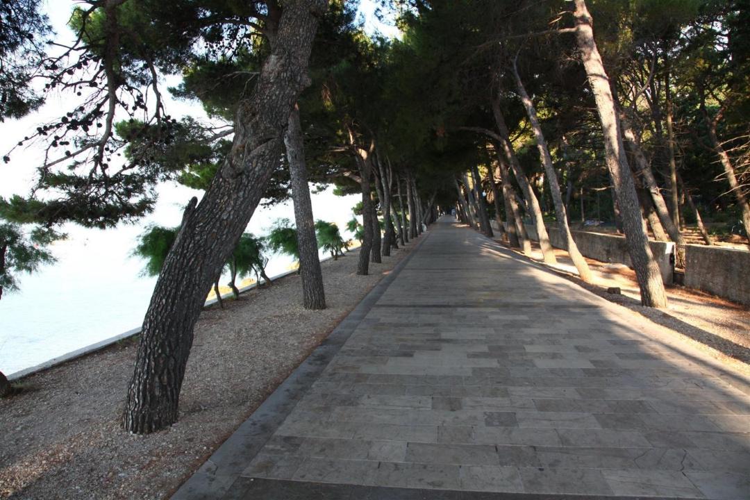 Photo of Outdoor in Bol