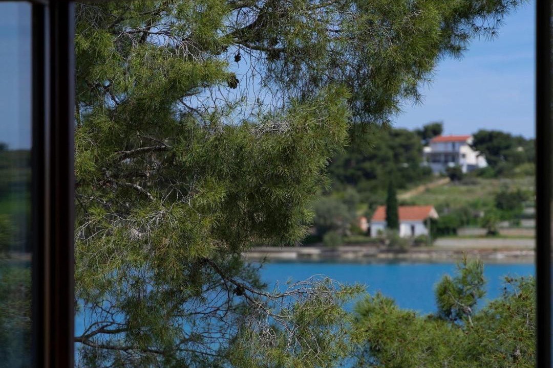 Photo of Others in Loviste