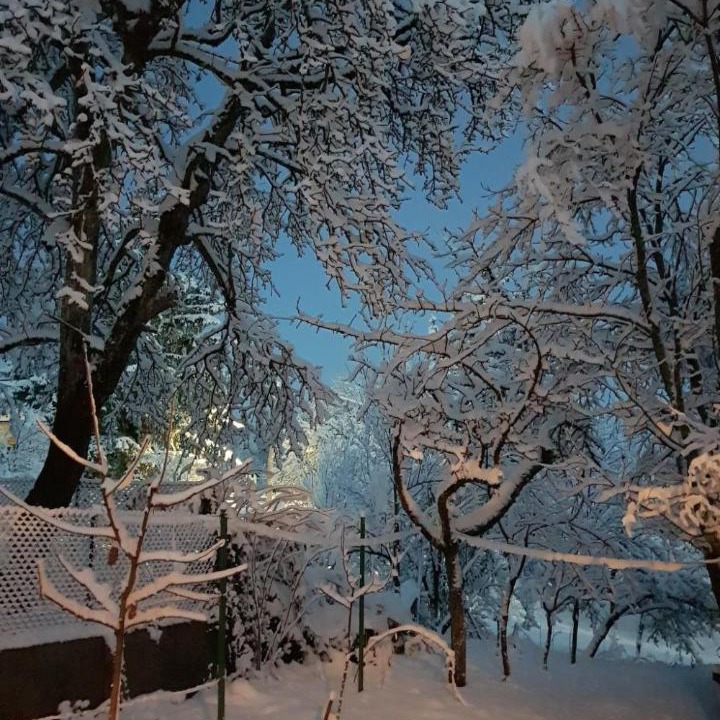 Photo of Others in Brod Moravice