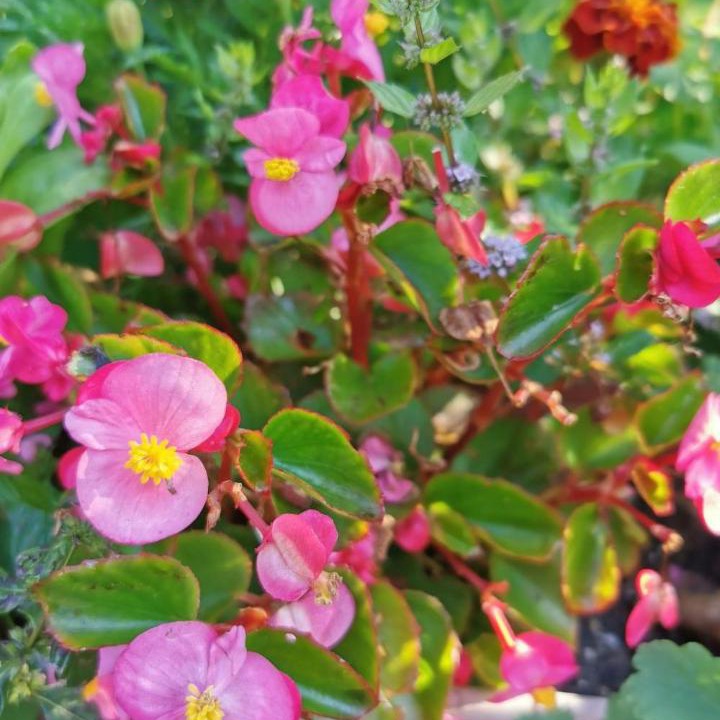 Photo of Outdoor in Brod Moravice