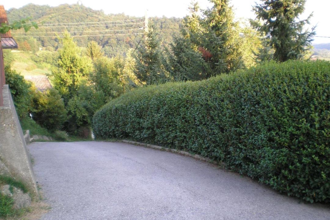 Photo of Others in Tuheljske Toplice