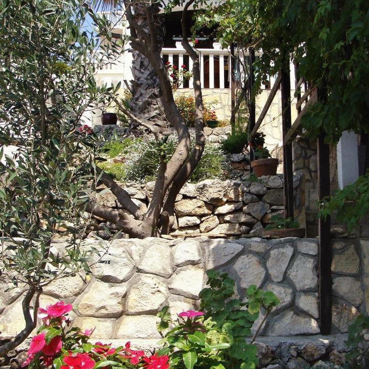 Photo of Others in Milna