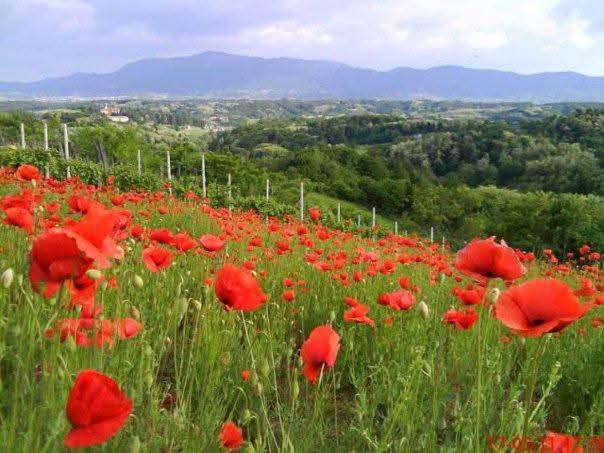 Photo of Others in Klenovnik