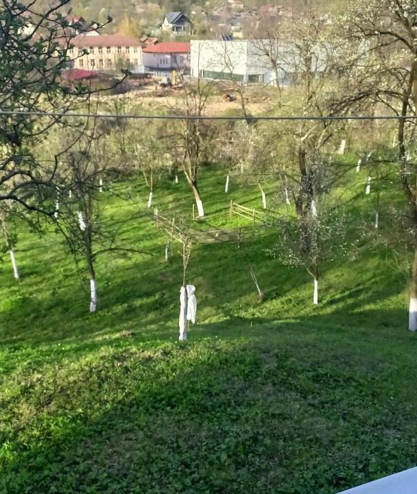 Photo of Others in Bertea