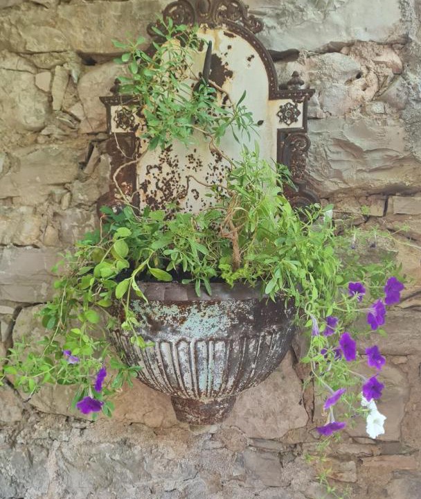 Photo of Others in Skradin