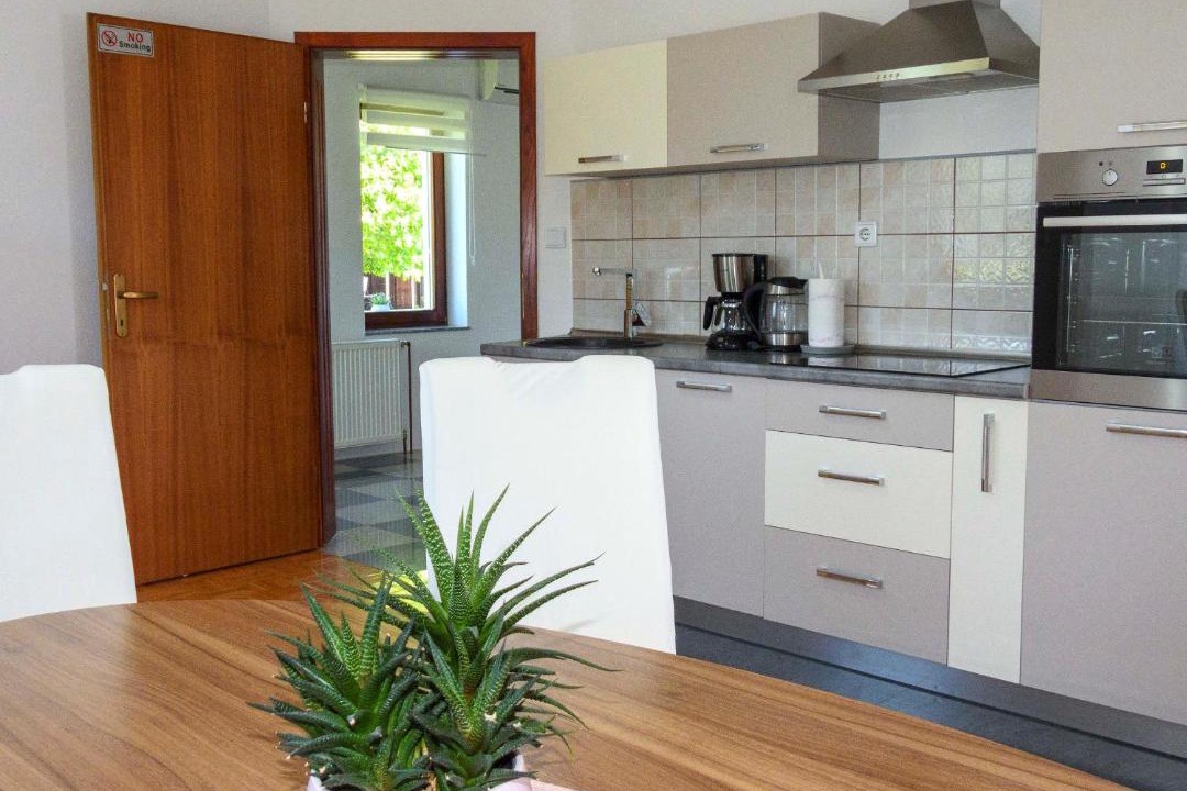 Photo of Kitchen in Smoljanac