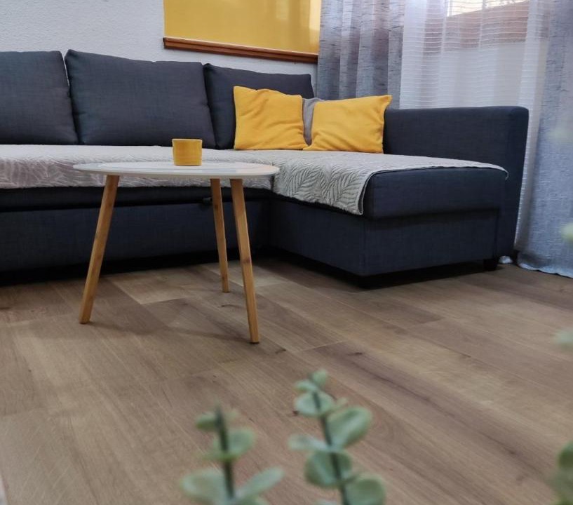 Photo of Livingroom in Petrovija