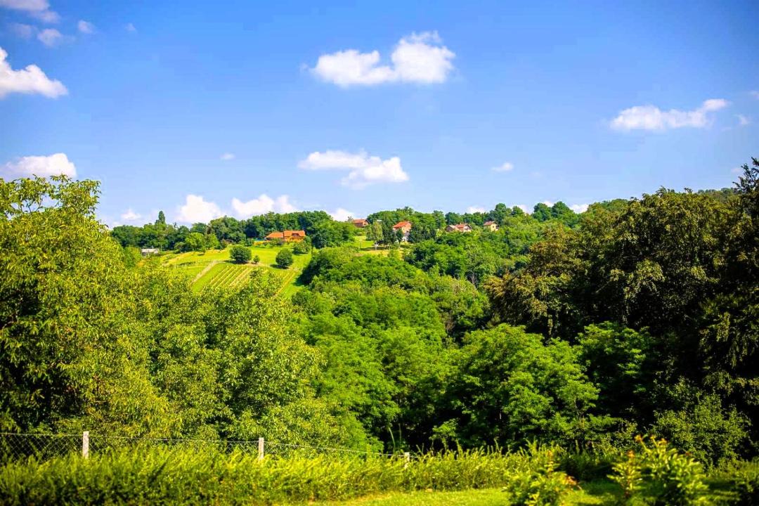 Photo of Others in Grabrovnik