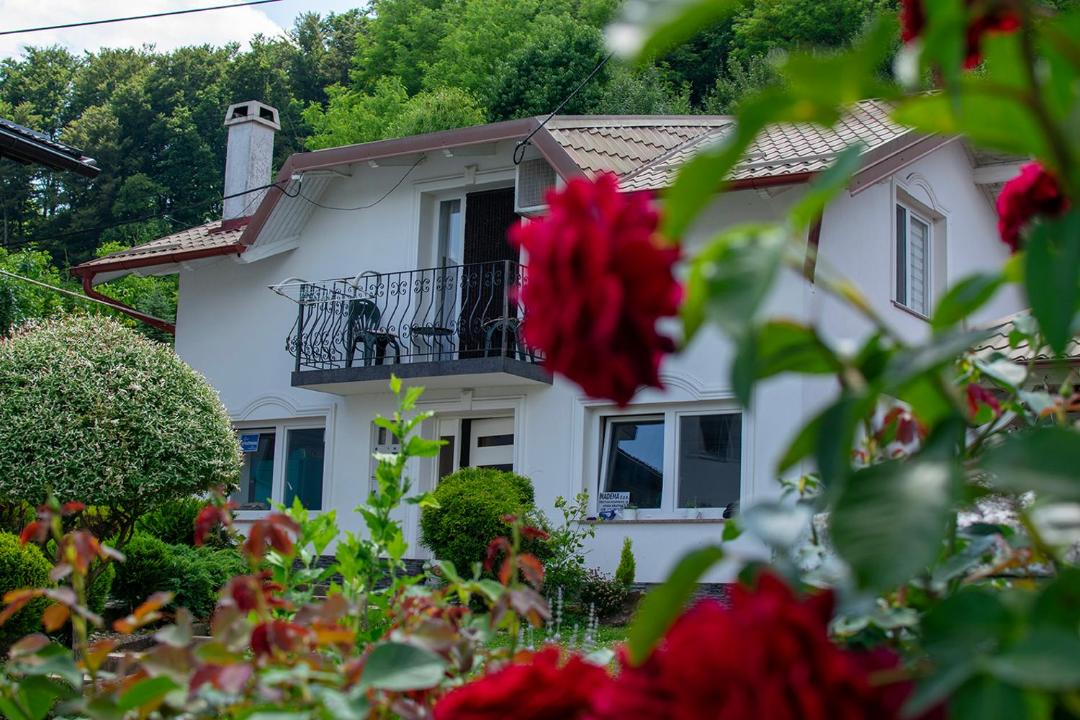 Photo of Others in Krapina