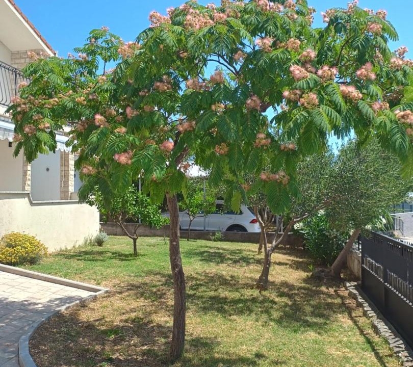 Photo of Outdoor in Rudine