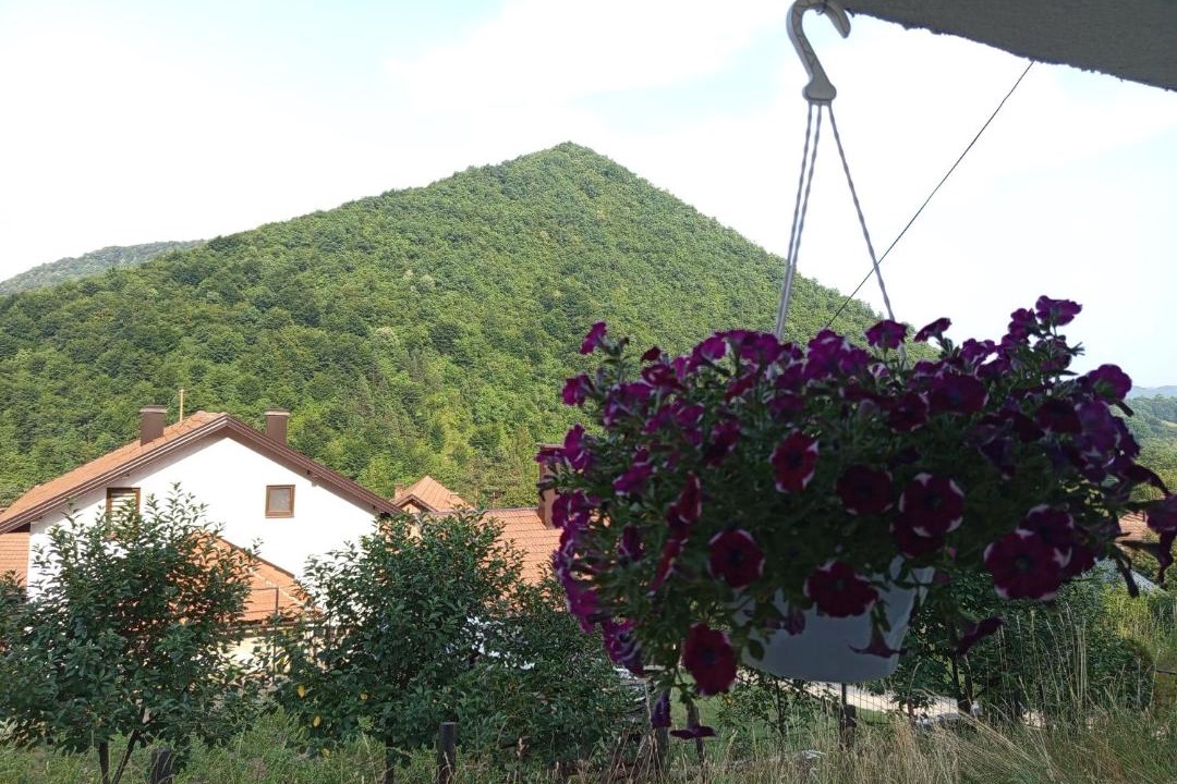 Photo of Others in Zenica-Doboj Canton