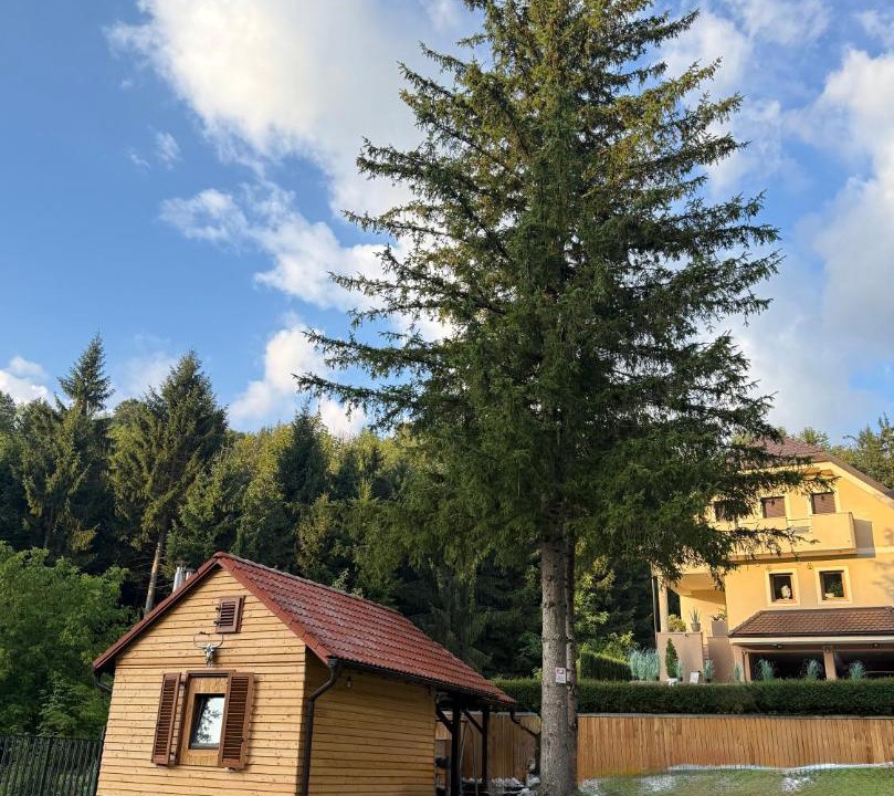 Photo of Others in Postojna