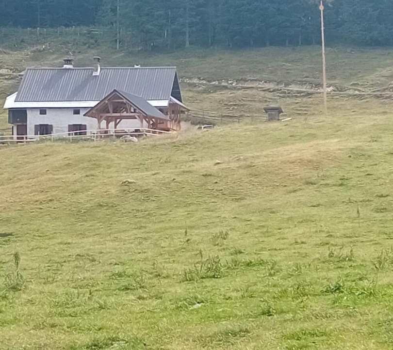Photo of Others in Gorje