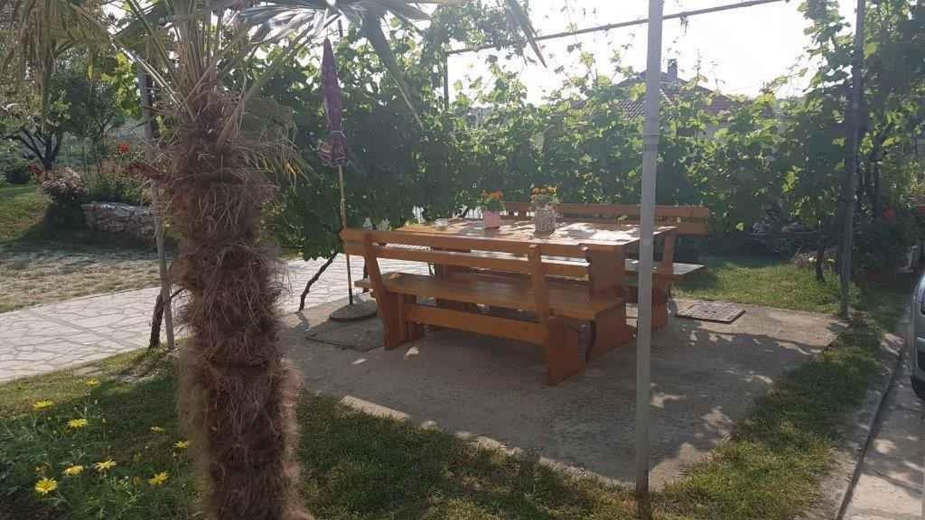 Photo of Others in Ljubac