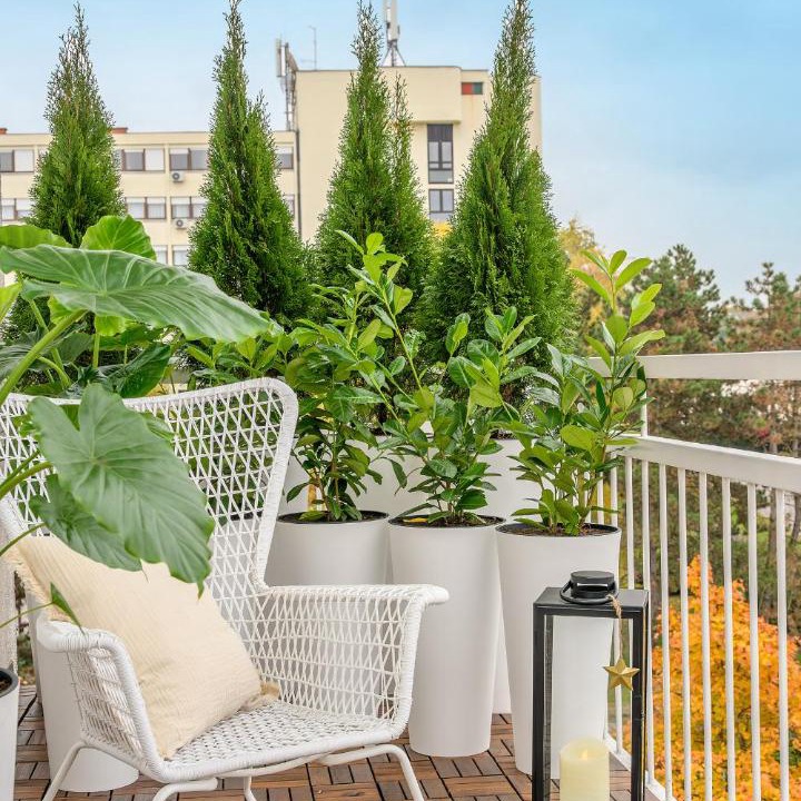 Photo of Patio Balcony in Novi Zagreb