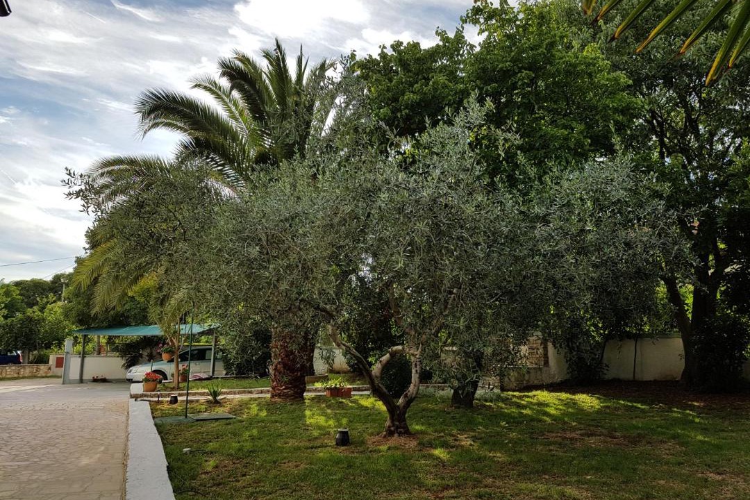 Photo of Others in Vabriga