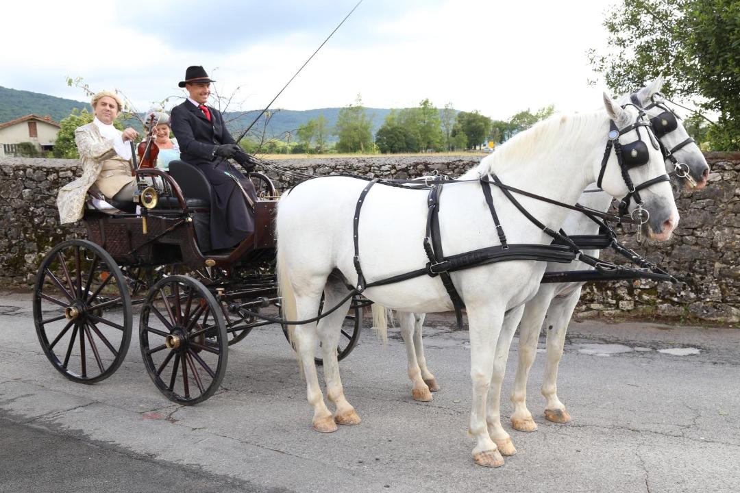 Photo of Others in Lokev