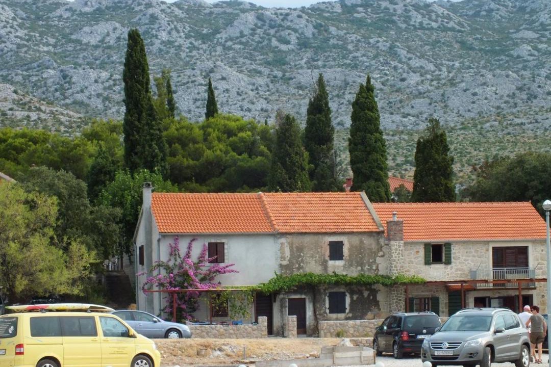 Photo of Others in Seline