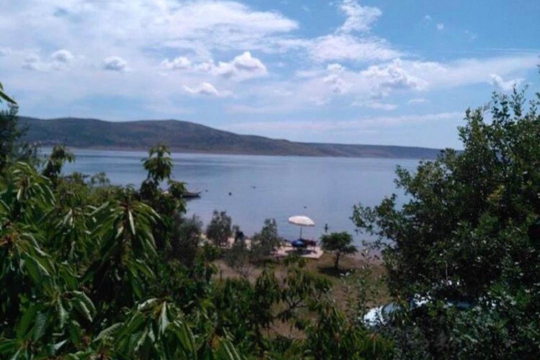 Photo of Others in Seline