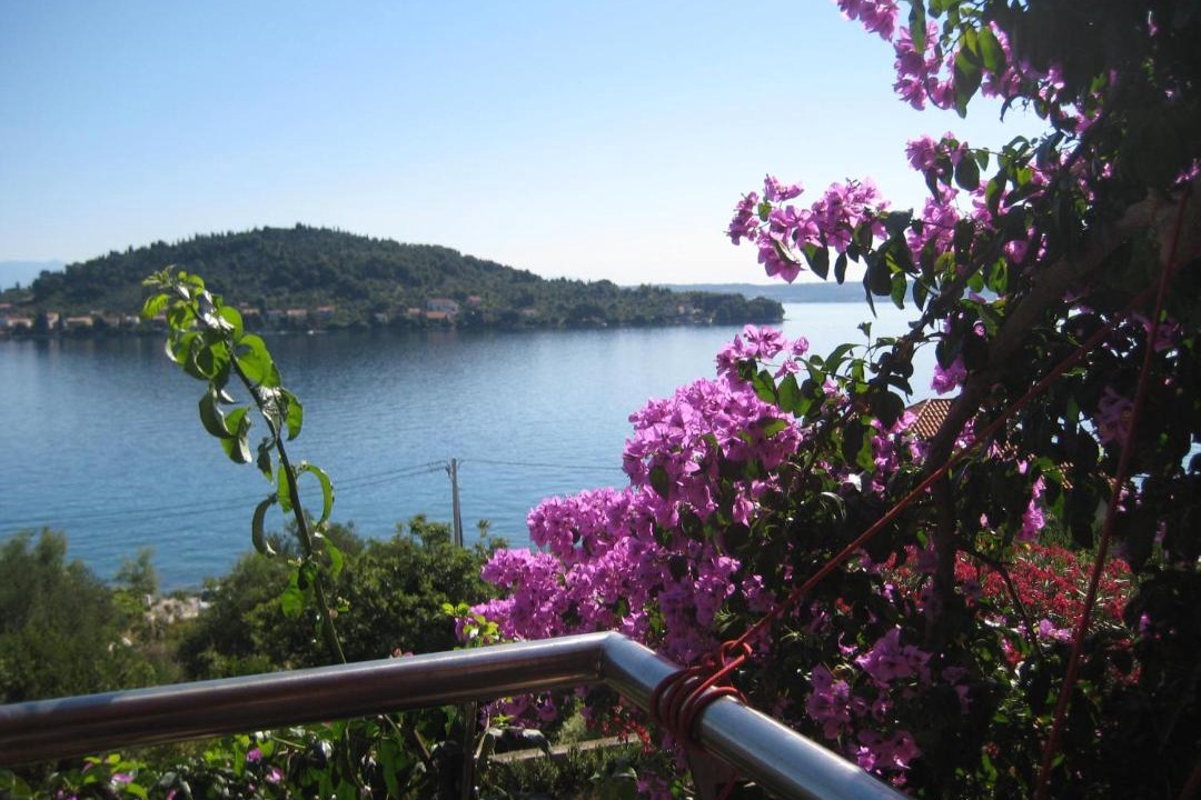Photo of Patio Balcony in Kali