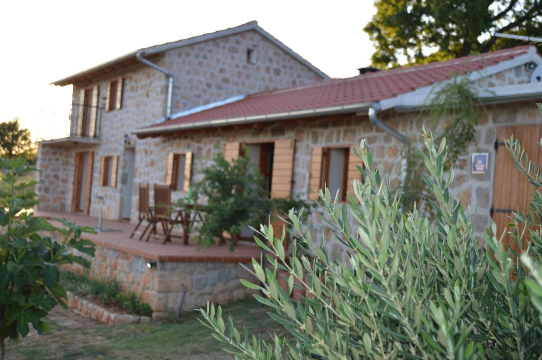 Photo of Others in Seline